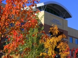 City Hall with trees