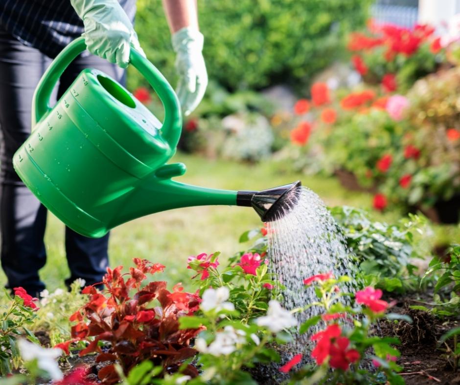 Hand holding a watering can watering flowers in a residential garden